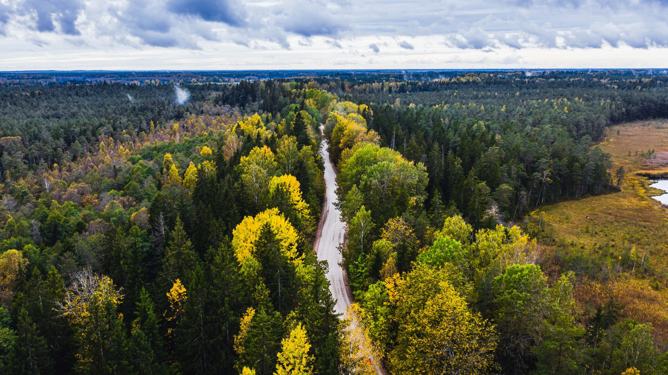 From potential to progress: Latvia's renewable energy landscape - Latvia